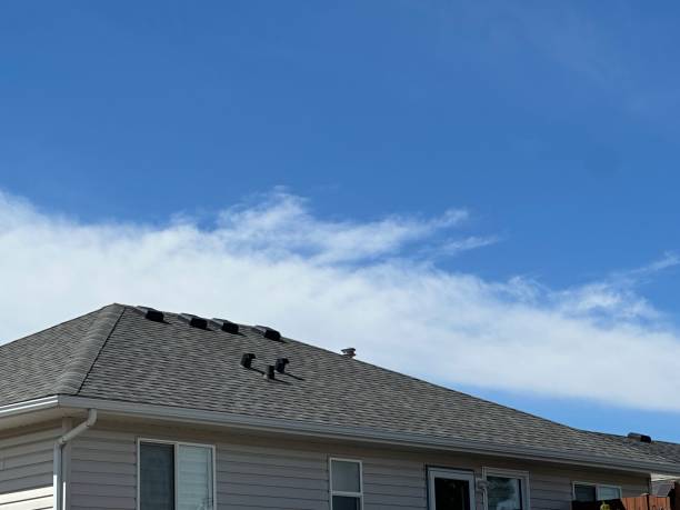 Best Roof Maintenance and Cleaning  in North Bay Shore, NY